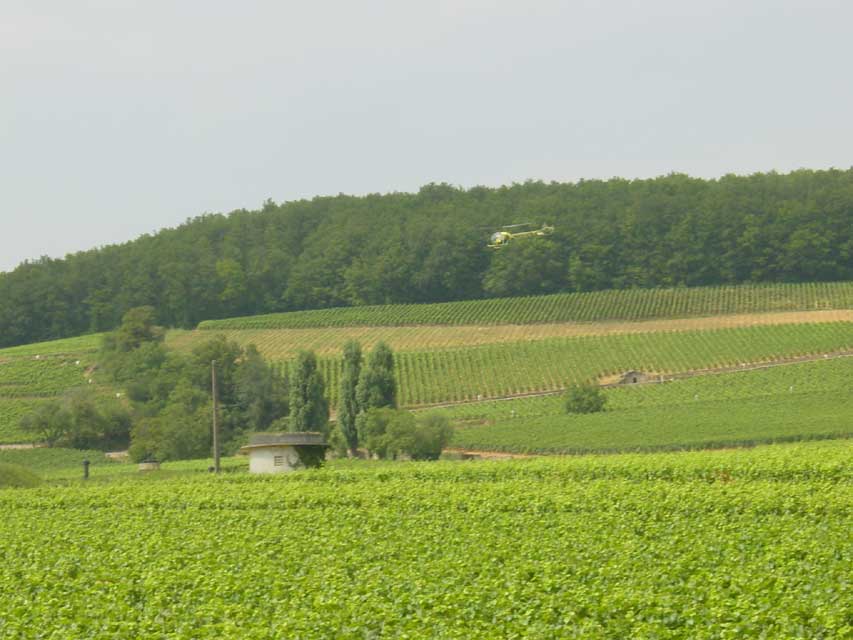 escapade aloxe-corton - traitement de la vigne